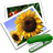 Join Multiple Image Files Together Side By Side Software