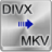 Free DIVX To MKV Converter