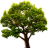 Lake Tree 3D Screensaver and Animated Wallpaper