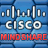 Cisco Mind Share