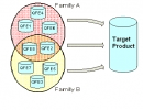 Grouping related patches into patch families