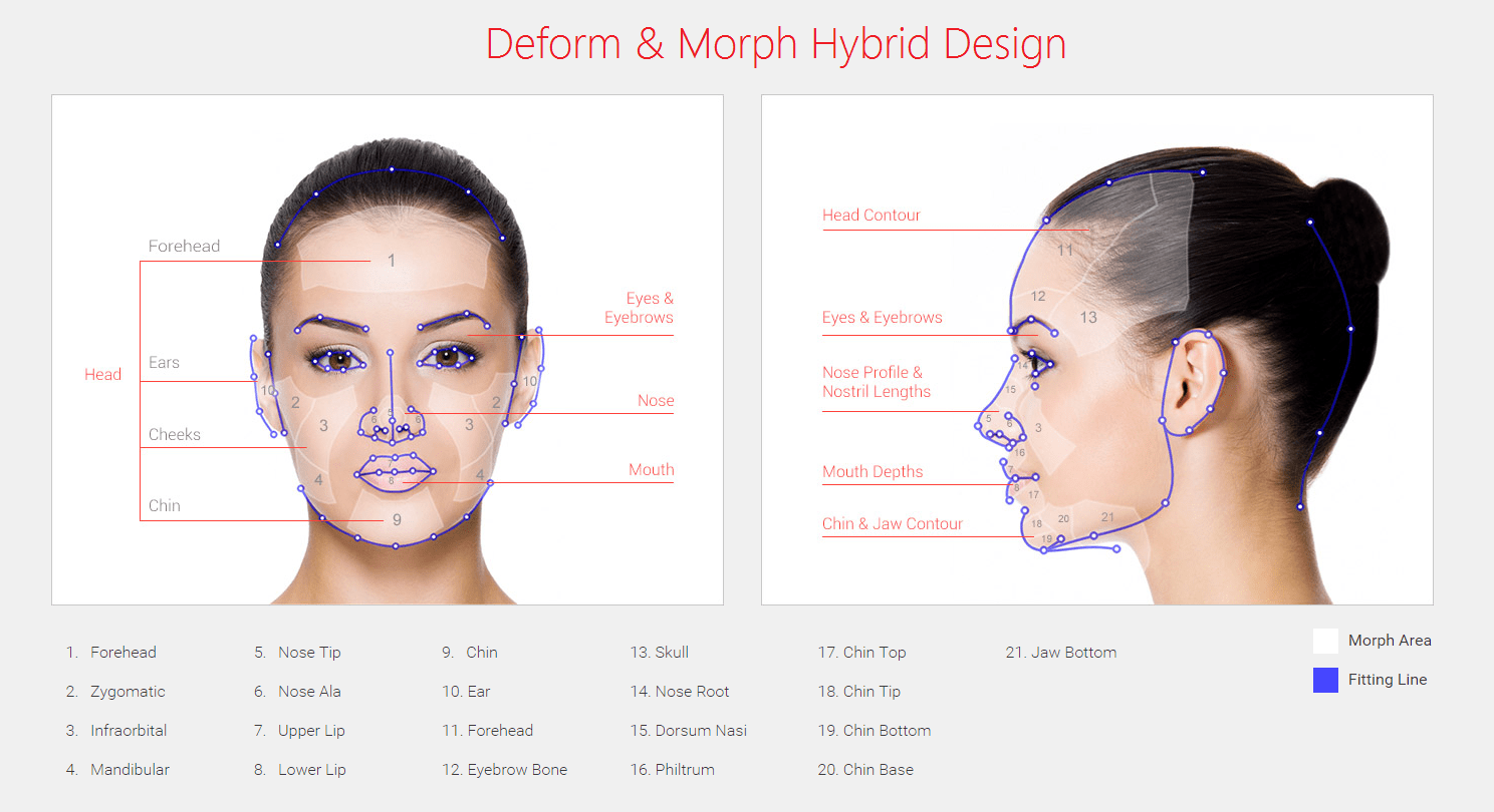CT8_Deform-Morph-Hybrid