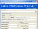 Excel Password Recovery