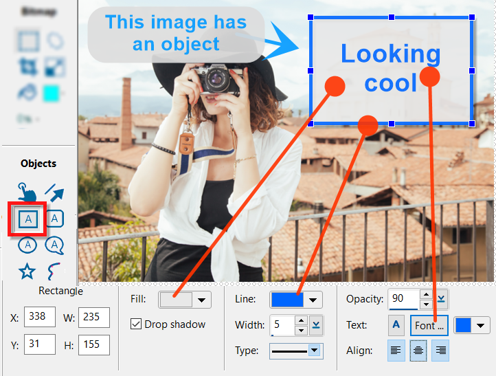 Image Editor