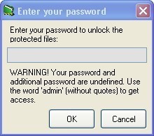 Password window