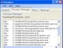 Process manager tab
