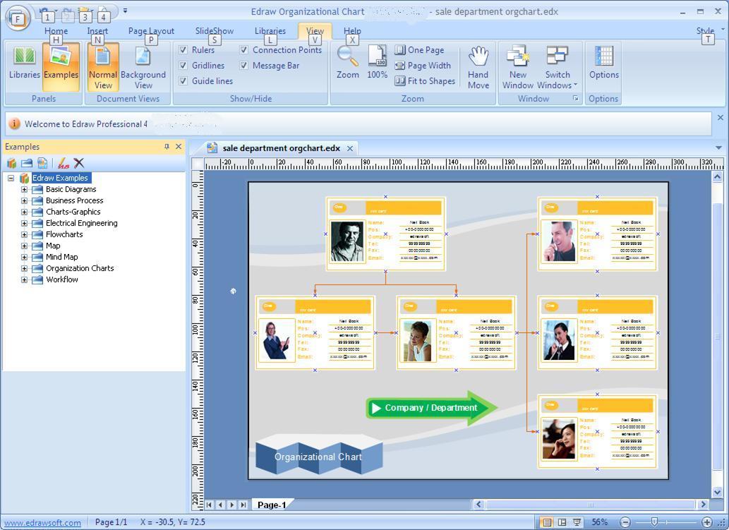 Example for Sales Organization