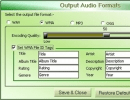 Output Audio Formats