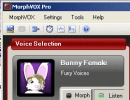 Bunny Female