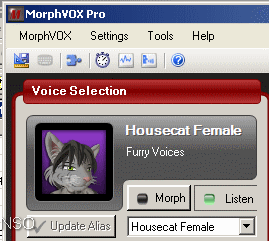 Housecat Female