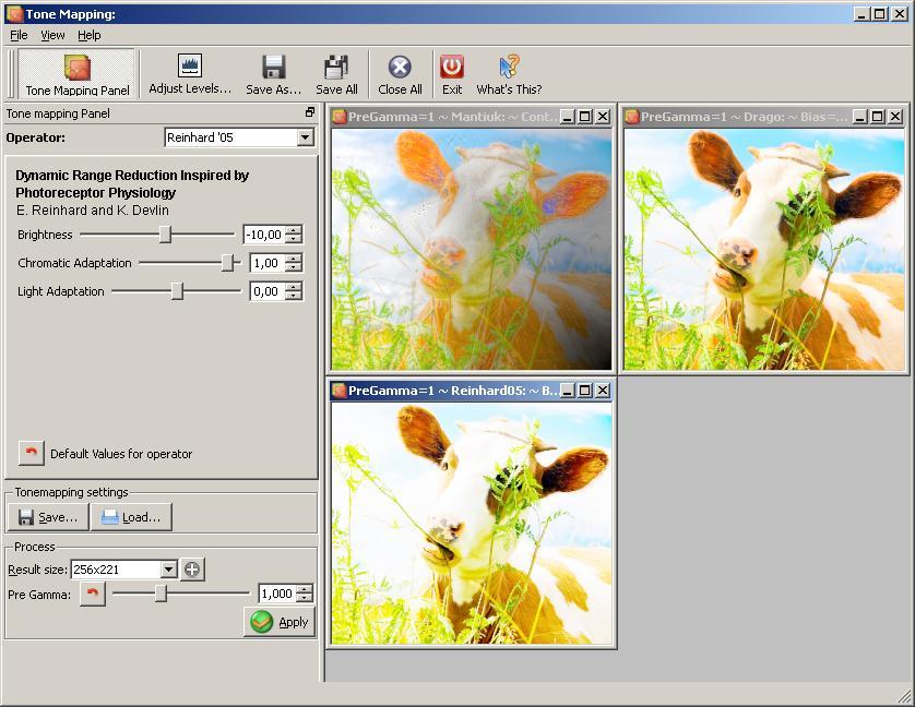 Tone Mapping Tool