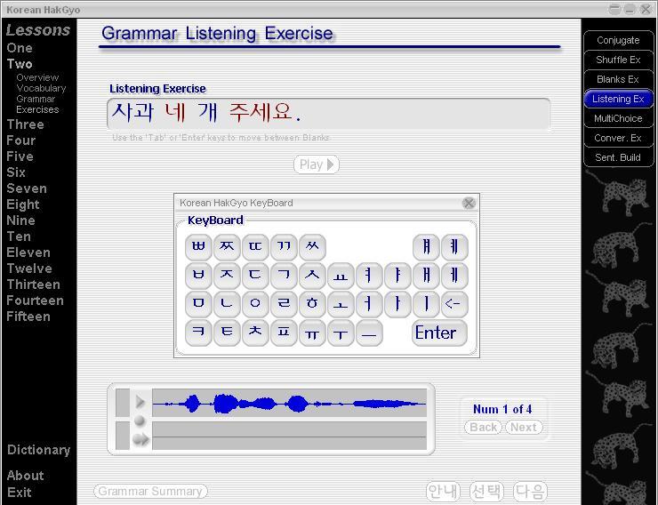 Grammar Listening Exercise