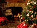 Christmas Tree by the fireplace