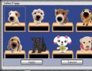 Selecting a puppy