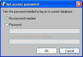 Set access password window