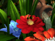 Garden Flowers 3D Screensaver