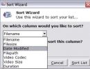 Wizard's options