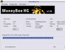 Money Bee Window (cropped)