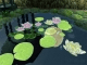 Lovely Pond 3D screensaver