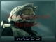 Halo 3 Screen Saver
