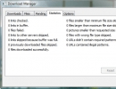 Download manager