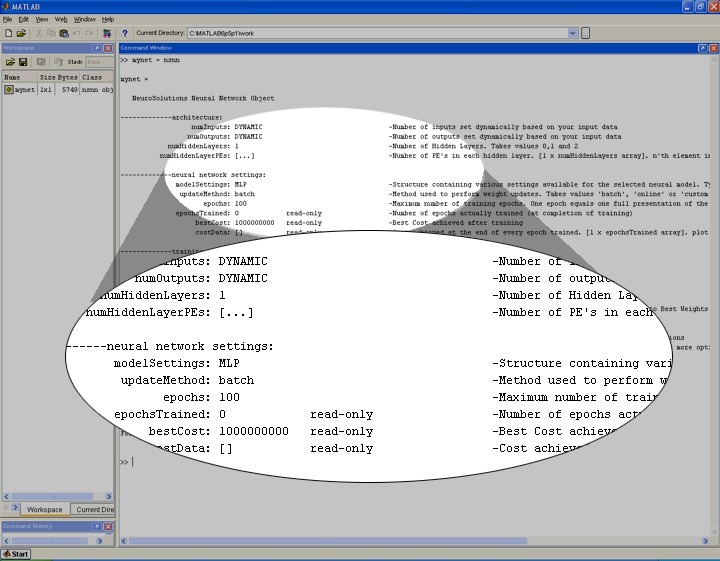 Main Window