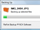 Backup In Progress