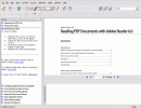 Initial window with sample pdf