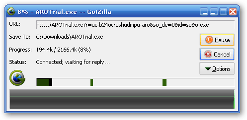 The download window