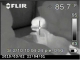 FLIR Reporter