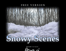 Snowy scenes logo