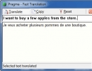 Fast Translation Window