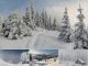 Animated Winterscapes