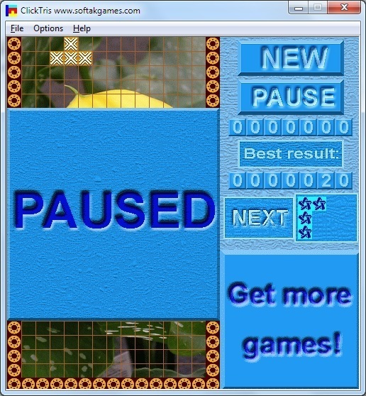 Paused Game