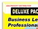 Business Letter Professional