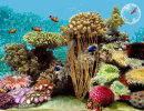 3D Tropical Fish Aquarium-Sample screen