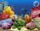 3D Tropical Fish Aquarium-Another sample screen