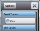 Options Window