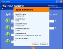 Split Files Process