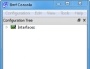 Main Console window