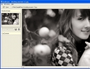 Image Viewer