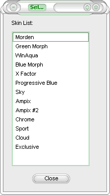 Skin List window
