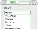 Skin List window