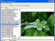 Neomesh Image Converter