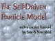 Self-Driven Particle Model