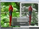 FotoSketcher