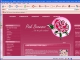 Pink Browser