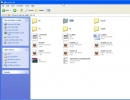 Files Window