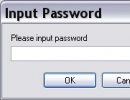 Input password