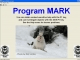 Mark Software